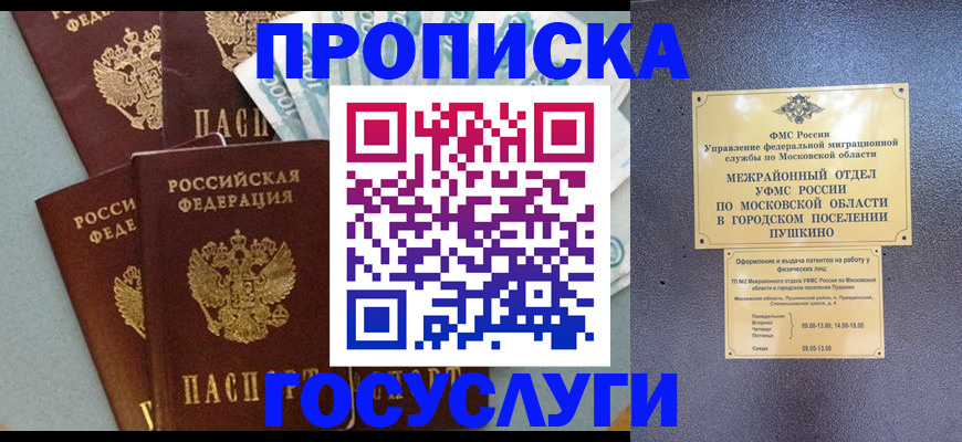 прописка гарантия в Великом Новгороде